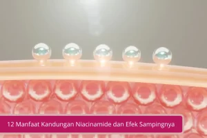 Gambar 12 Manfaat Kandungan Niacinamide dan Efek Sampingnya Dalam Kulit