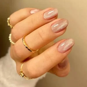 Cat Eye Nude Nail Art Nail Art Nude