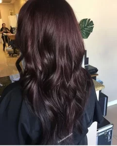 Chocolate Burgundy