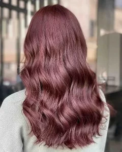 Mix Burgundy Warna Rambut Burgundy