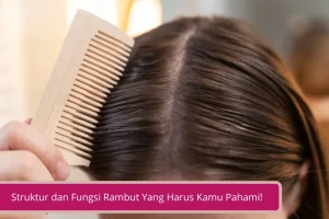 Gambar Semua Hal Mengenai Struktur dan Fungsi Rambut Yang Harus Kamu Pahami