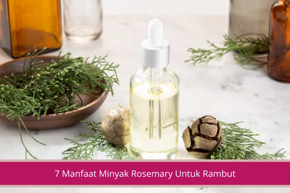 Gambar 7 Manfaat Minyak Rosemary Untuk Rambut