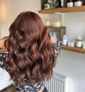 Mahogany Perbedaan dan Penggunaan Highlight serta Lowlight dalam Coloring Rambut